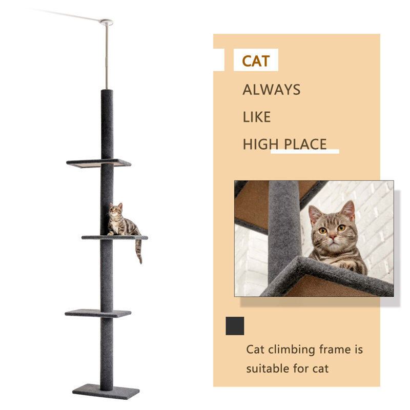 Dakota Fields 3 Tier Floor To Ceiling Cat Tree Cat Climbing Tree Wayfair